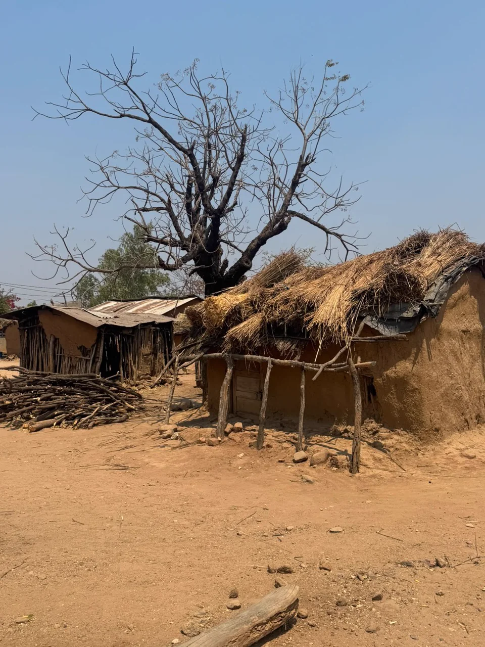 Viviendas de una comunidad rural en la provincia de Tete, Mozambique